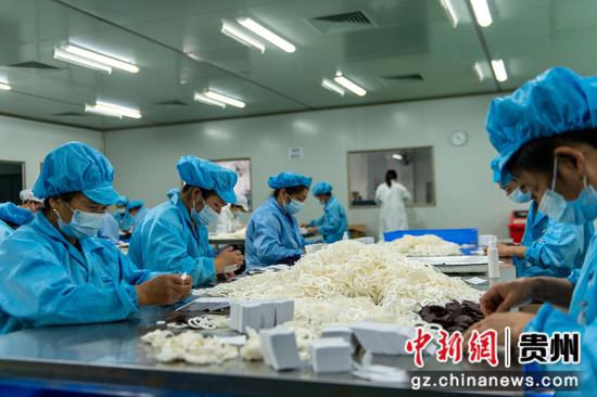 貴州從江 沖刺首季 開(kāi)門紅