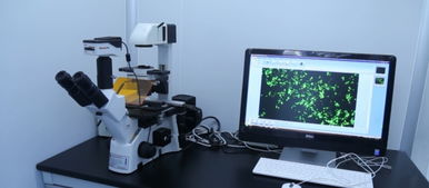 廣州輝園苑醫藥科技